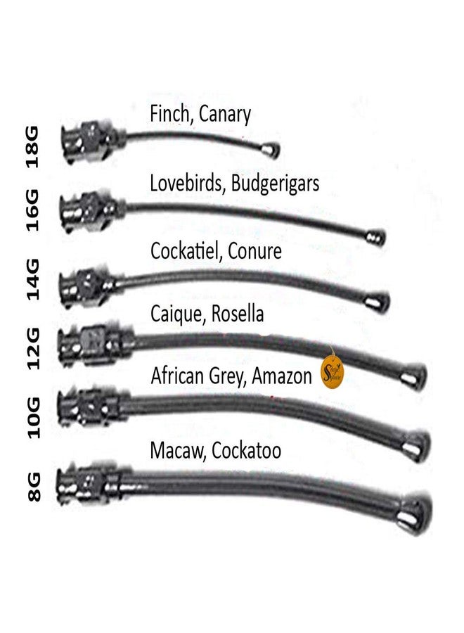 سايج سكوير محقنة تغذية يدوية مربعة قابلة للتعديل من سيج مع مجموعة كاملة للطيور والجراء والقطط والكلاب والقطط والهامستر (20 مل) (قطعة واحدة) - Image 3